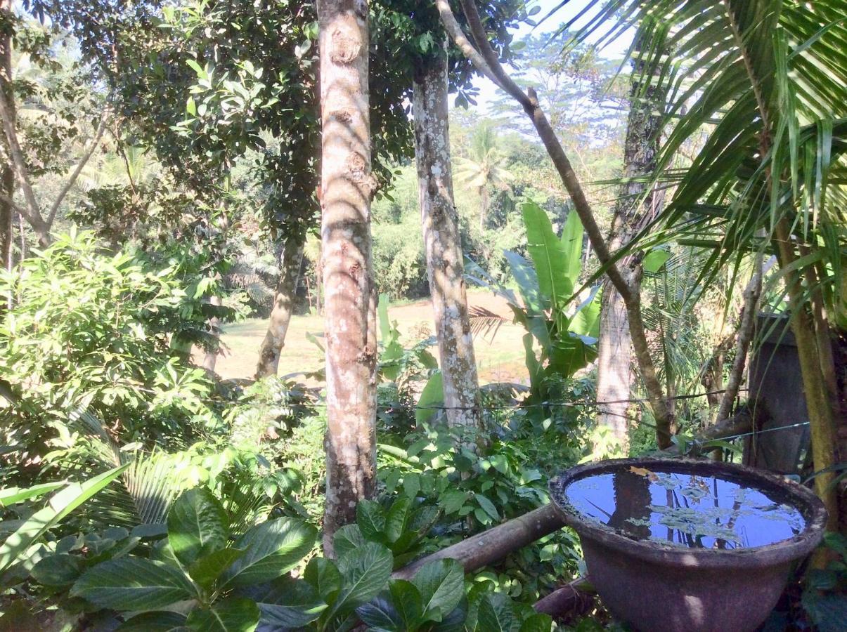 Rumah Irak et Kadek Bali Ubud  Bagian luar foto