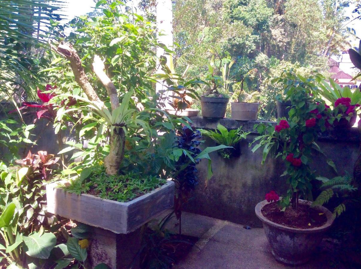 Rumah Irak et Kadek Bali Ubud  Bagian luar foto