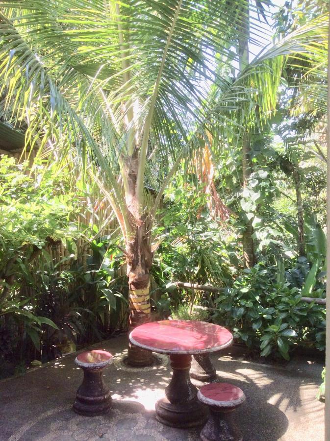 Rumah Irak et Kadek Bali Ubud  Bagian luar foto